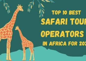 Top 10 Best Safari Tour Operators In Africa For 2024 | by Mara Triangle ...