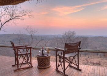 Luxury African safari | ROAR AFRICA