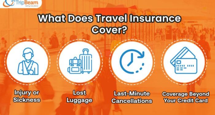 Travel Insurance 101: A Complete Guide To Hassle-Free Travel