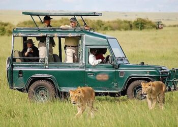 Popular 4x4 Jeep Land-Cruiser Safari